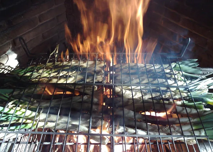 Catalana فندق